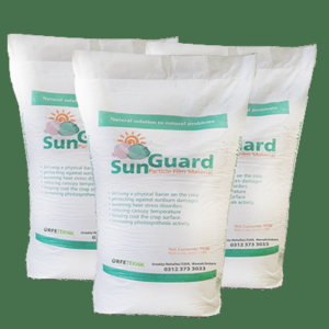 SUNGUARD