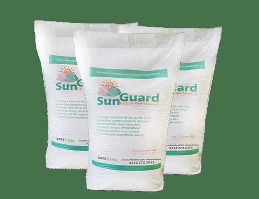 SUNGUARD